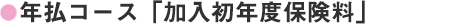 年払コース「加入初年度保険料」

