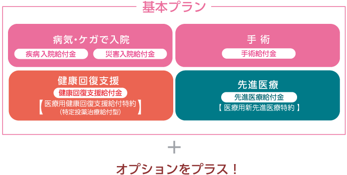 基本プラン+オプション