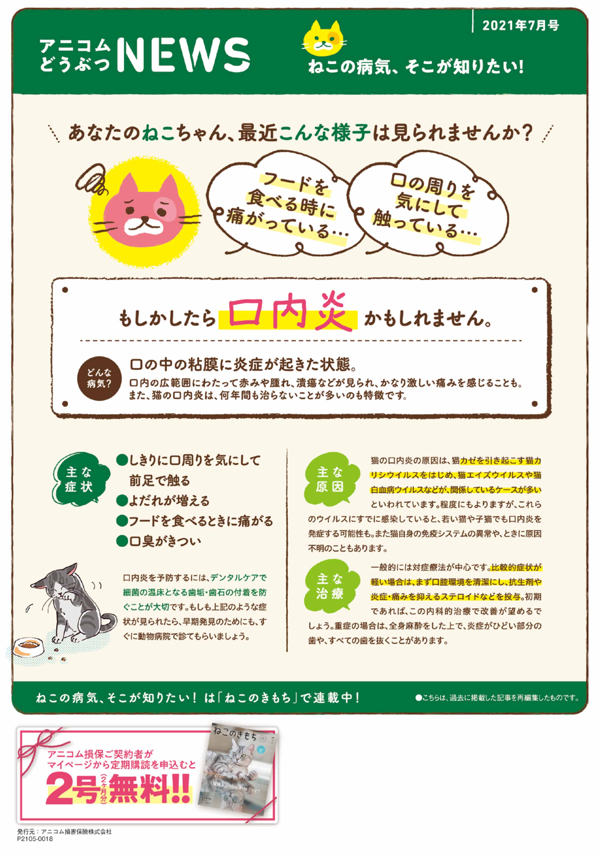 【ねこに多い病気】口内炎