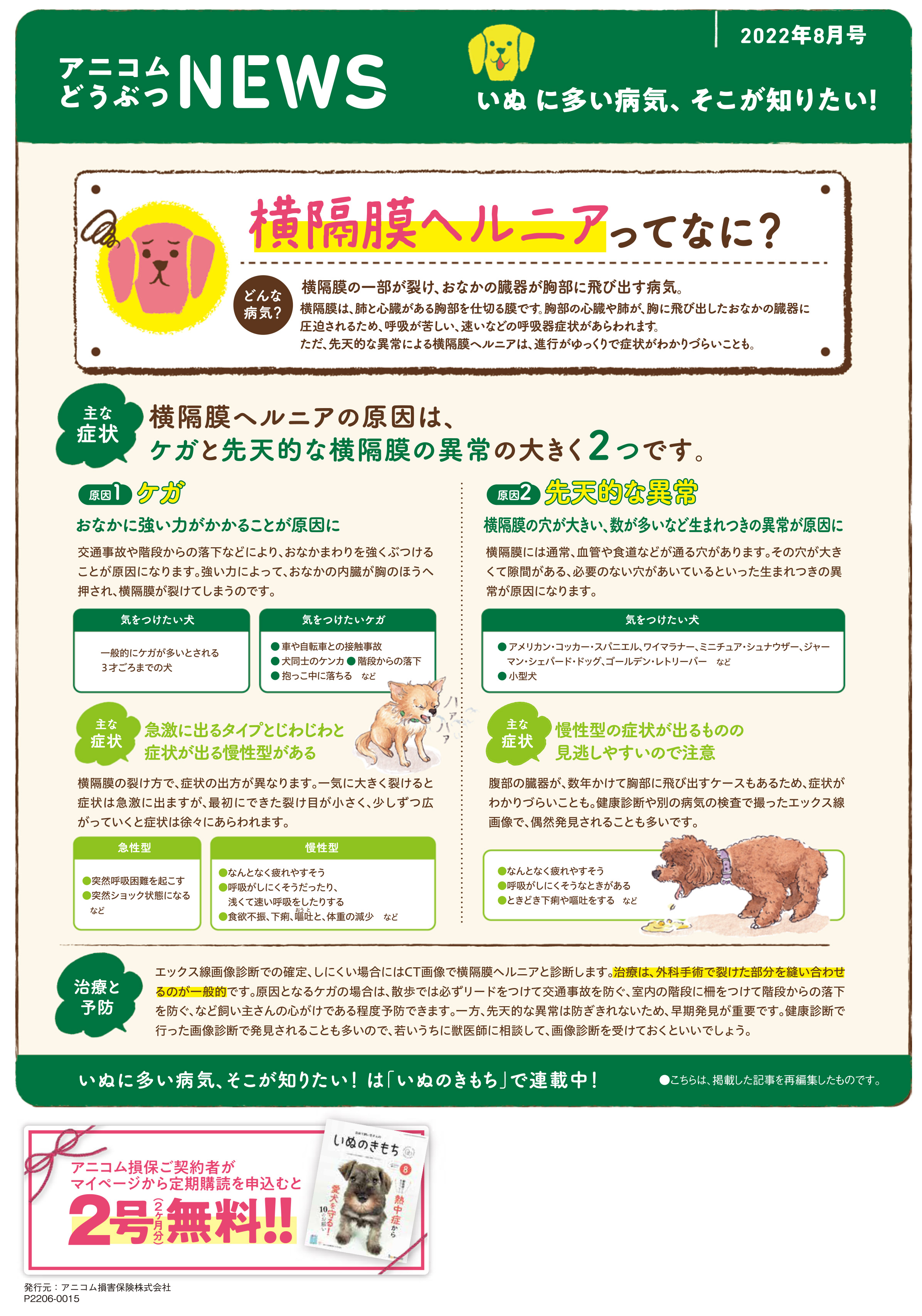 【いぬに多い病気】横隔膜ヘルニア