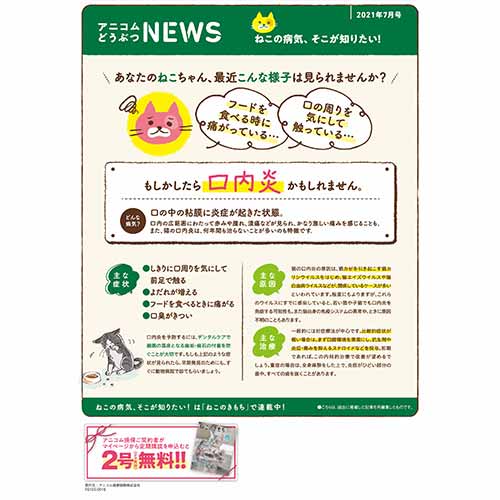 【ねこに多い病気】口内炎