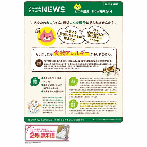 【ねこに多い病気】食物アレルギー