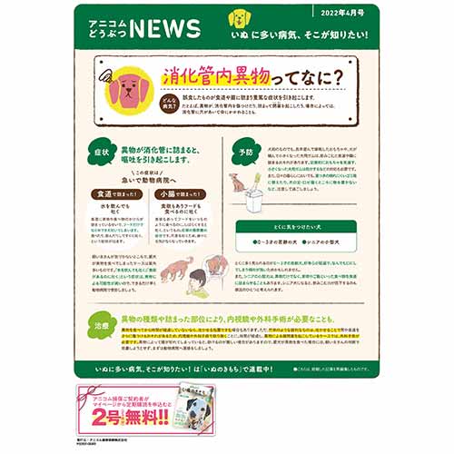 【いぬに多い病気】消化管内異物