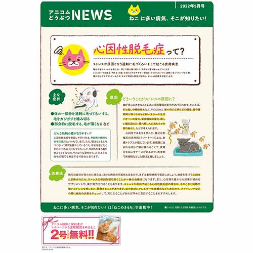 【ねこに多い病気】心因性脱毛症