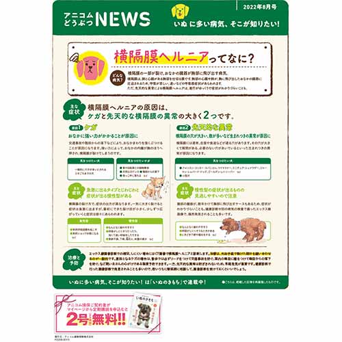 【いぬに多い病気】横隔膜ヘルニア