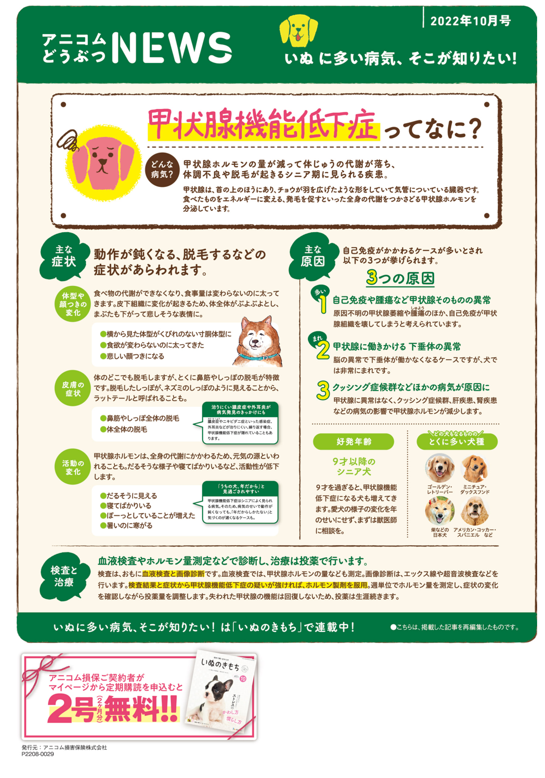 【いぬに多い病気】甲状腺機能低下症