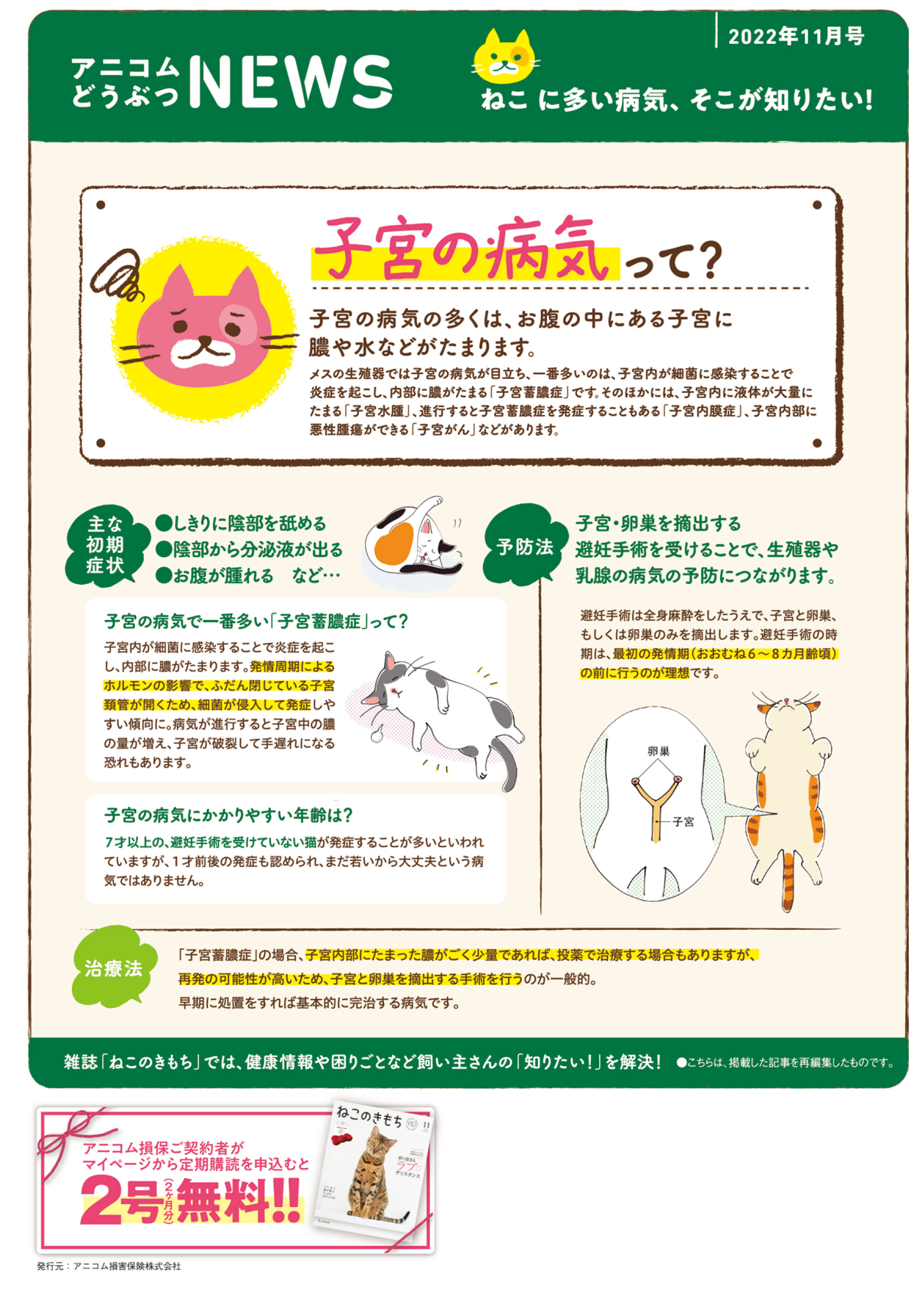 【ねこに多い病気】子宮の病気