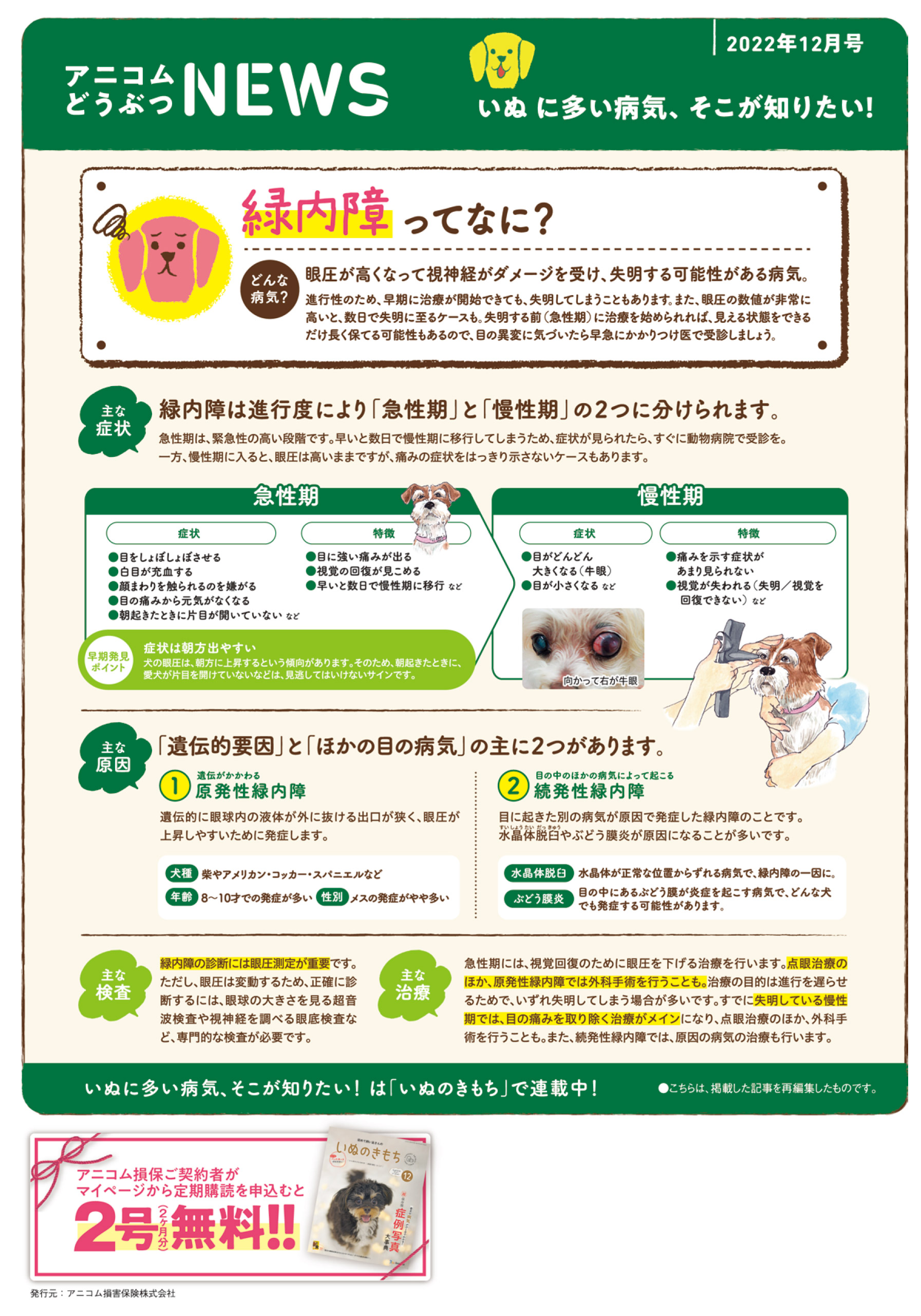 【いぬに多い病気】緑内障