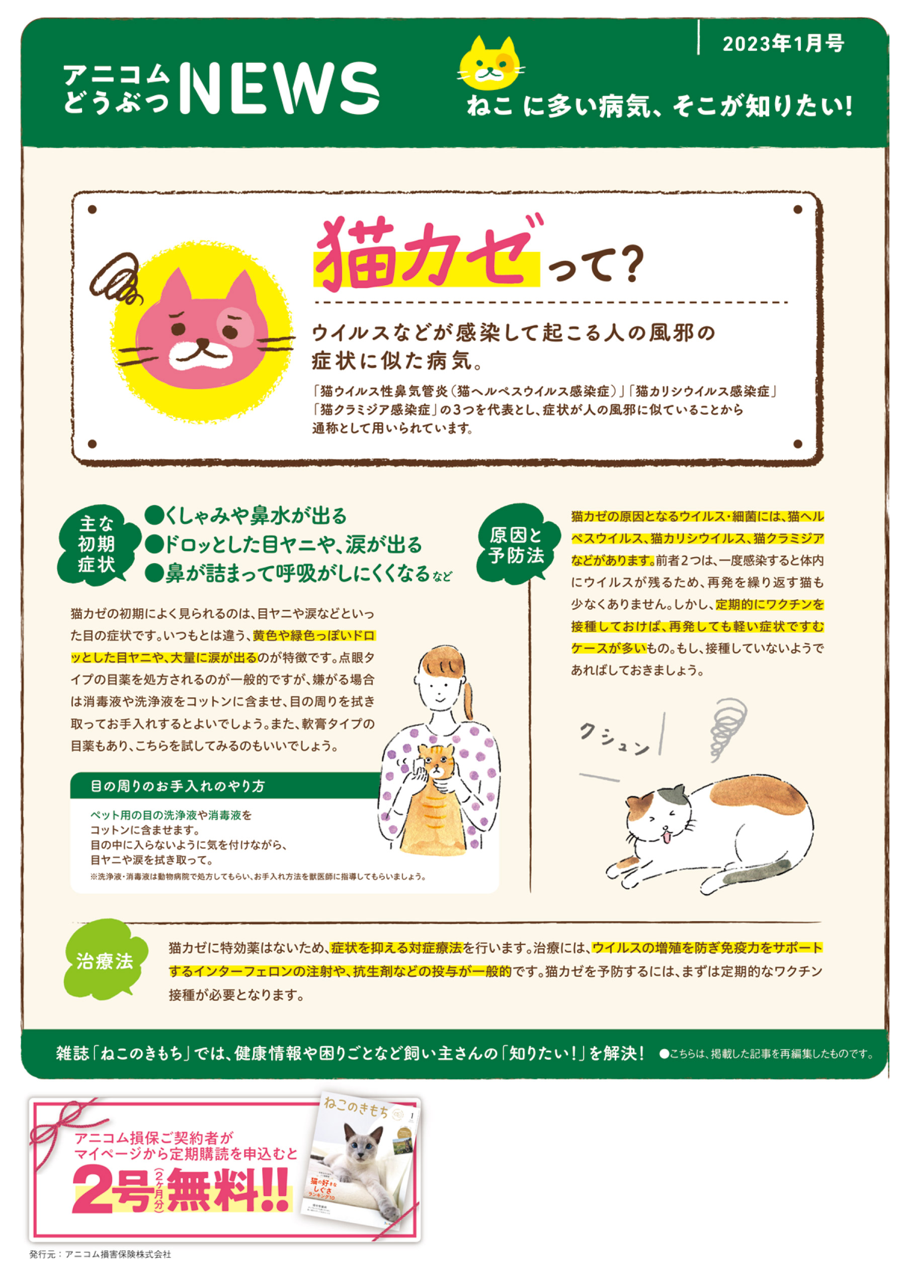 【ねこに多い病気】猫カゼ