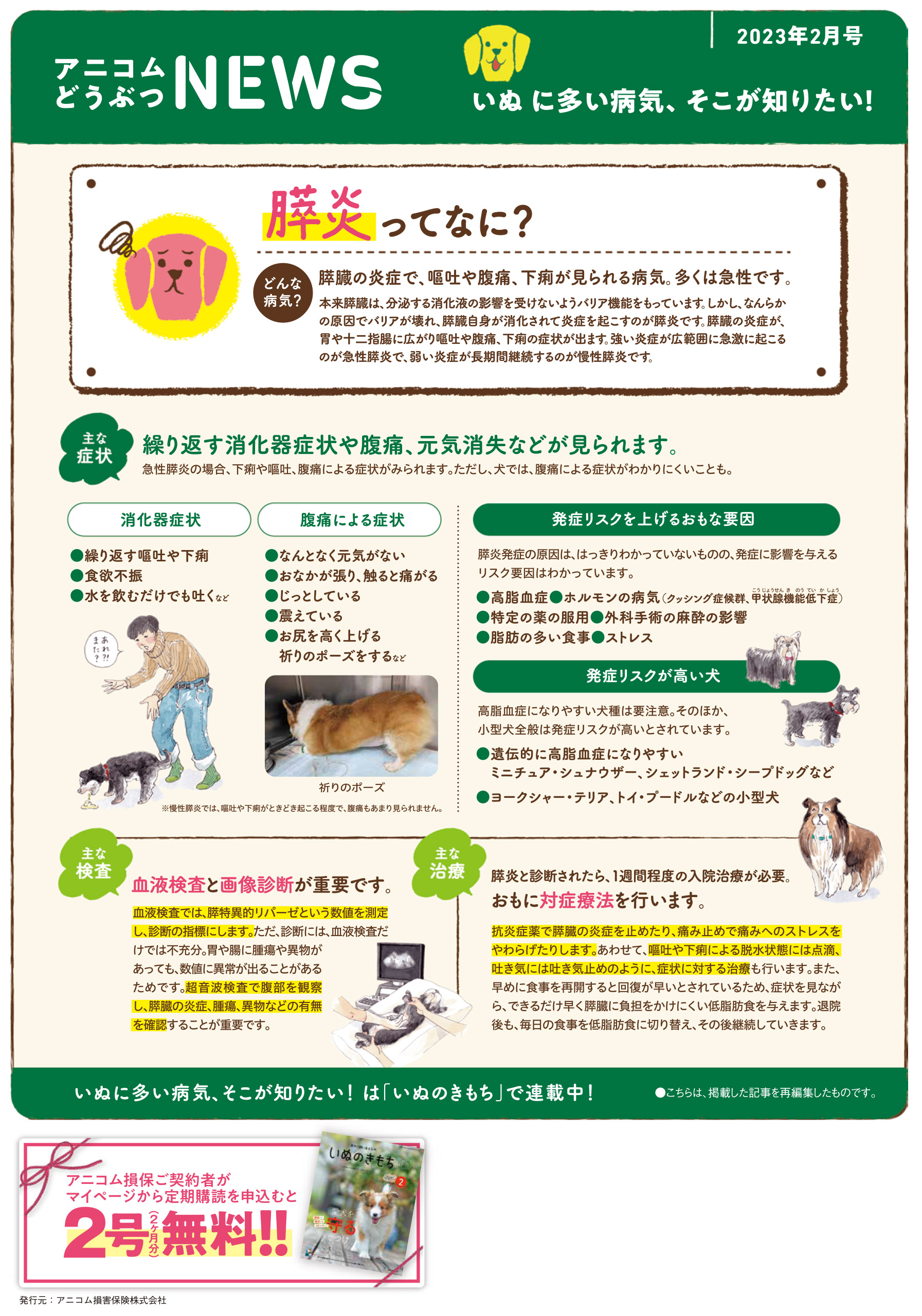 【いぬに多い病気】膵炎