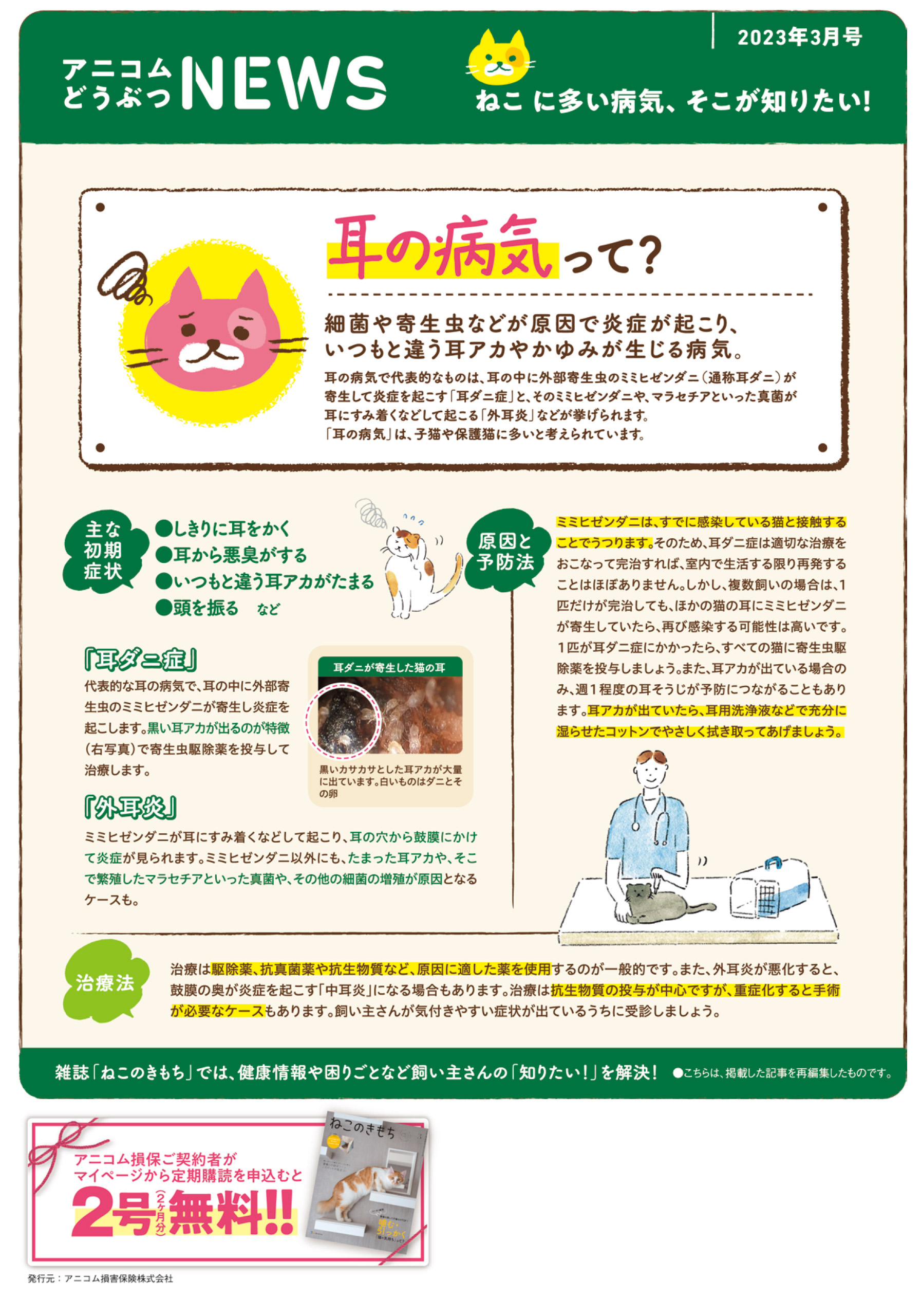 【ねこに多い病気】耳の病気