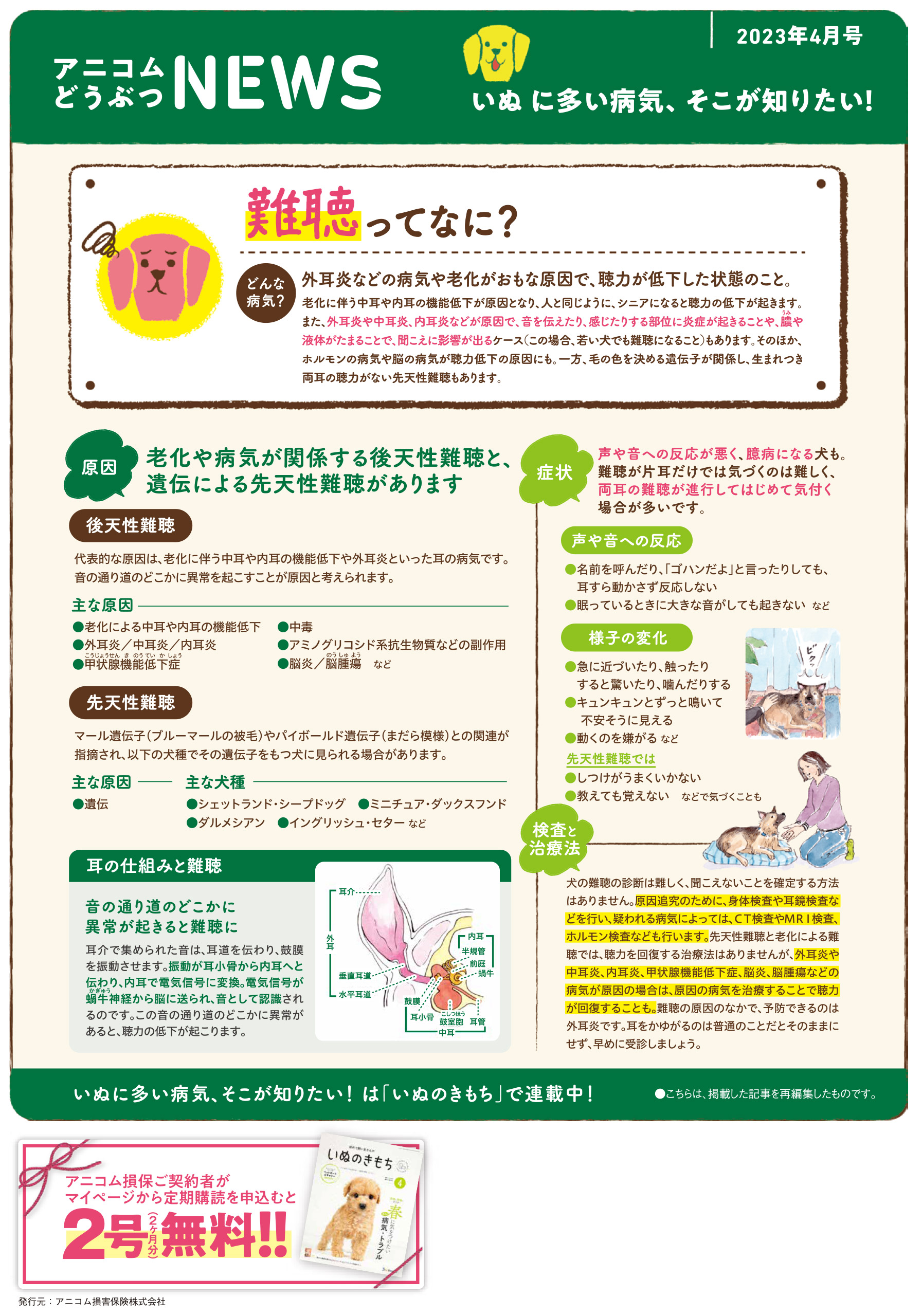 【いぬに多い病気】難聴