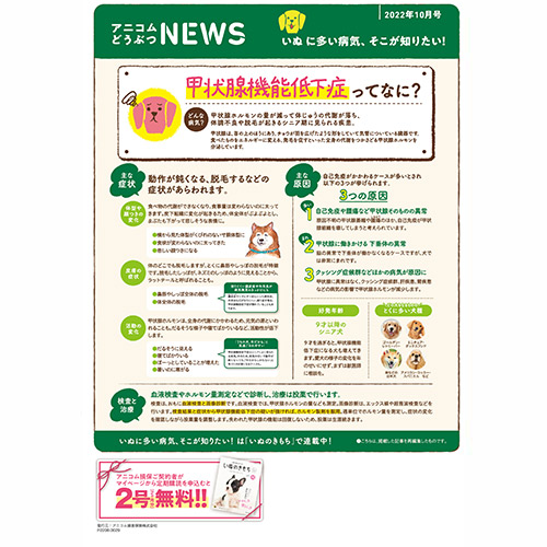 【いぬに多い病気】甲状腺機能低下症