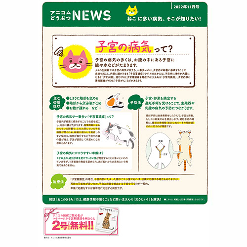 【ねこに多い病気】子宮の病気