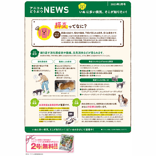 【いぬに多い病気】膵炎