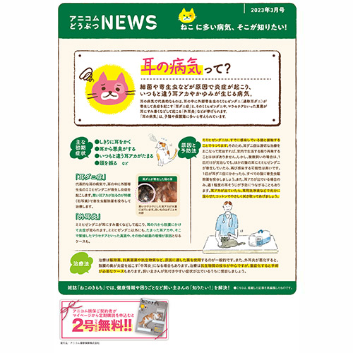 【ねこに多い病気】耳の病気