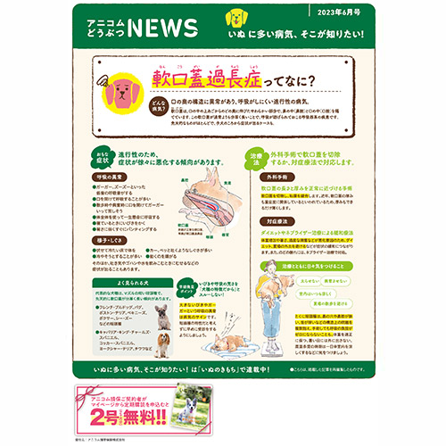 【いぬに多い病気】軟口蓋過長症