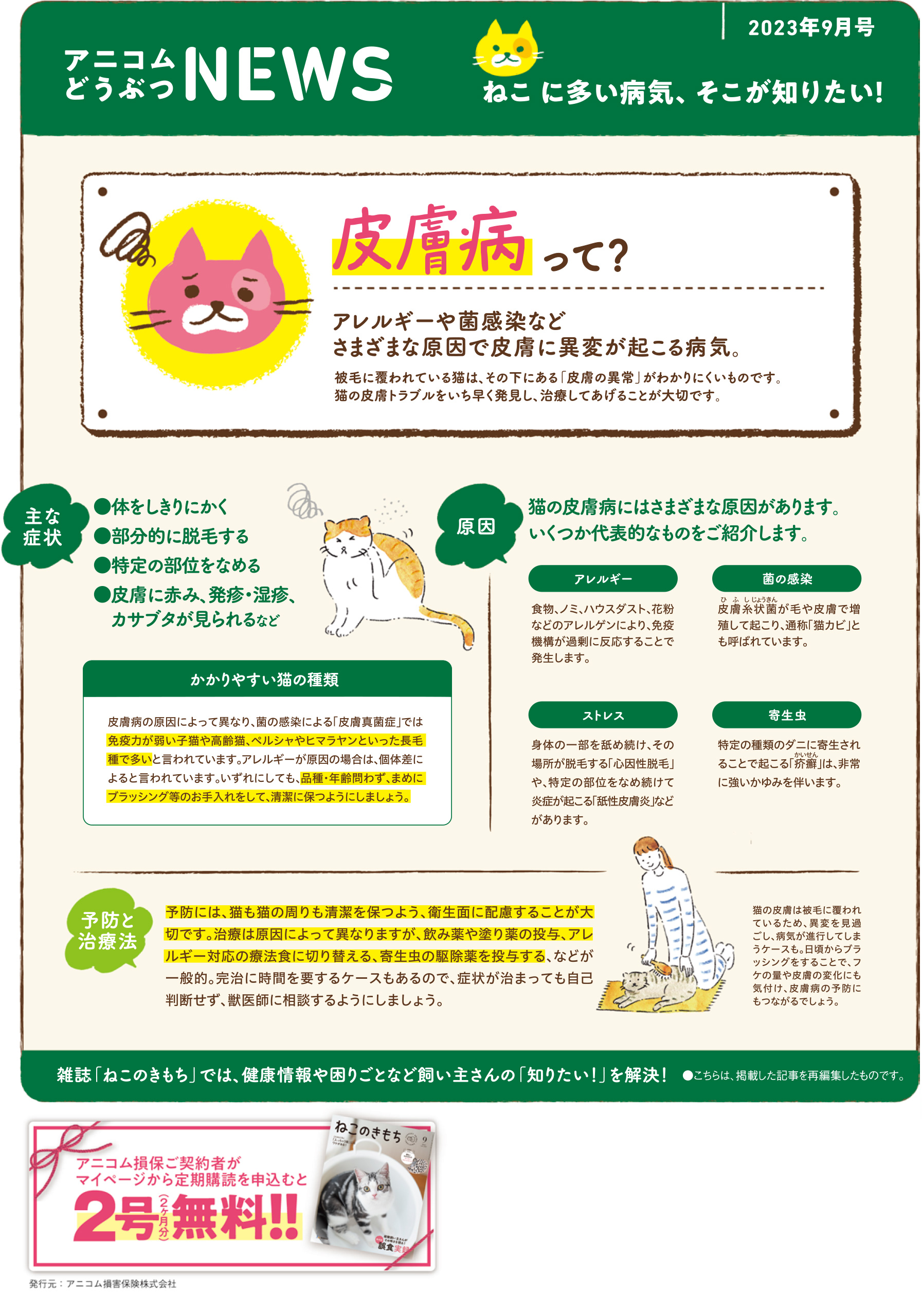 【ねこに多い病気】皮膚病