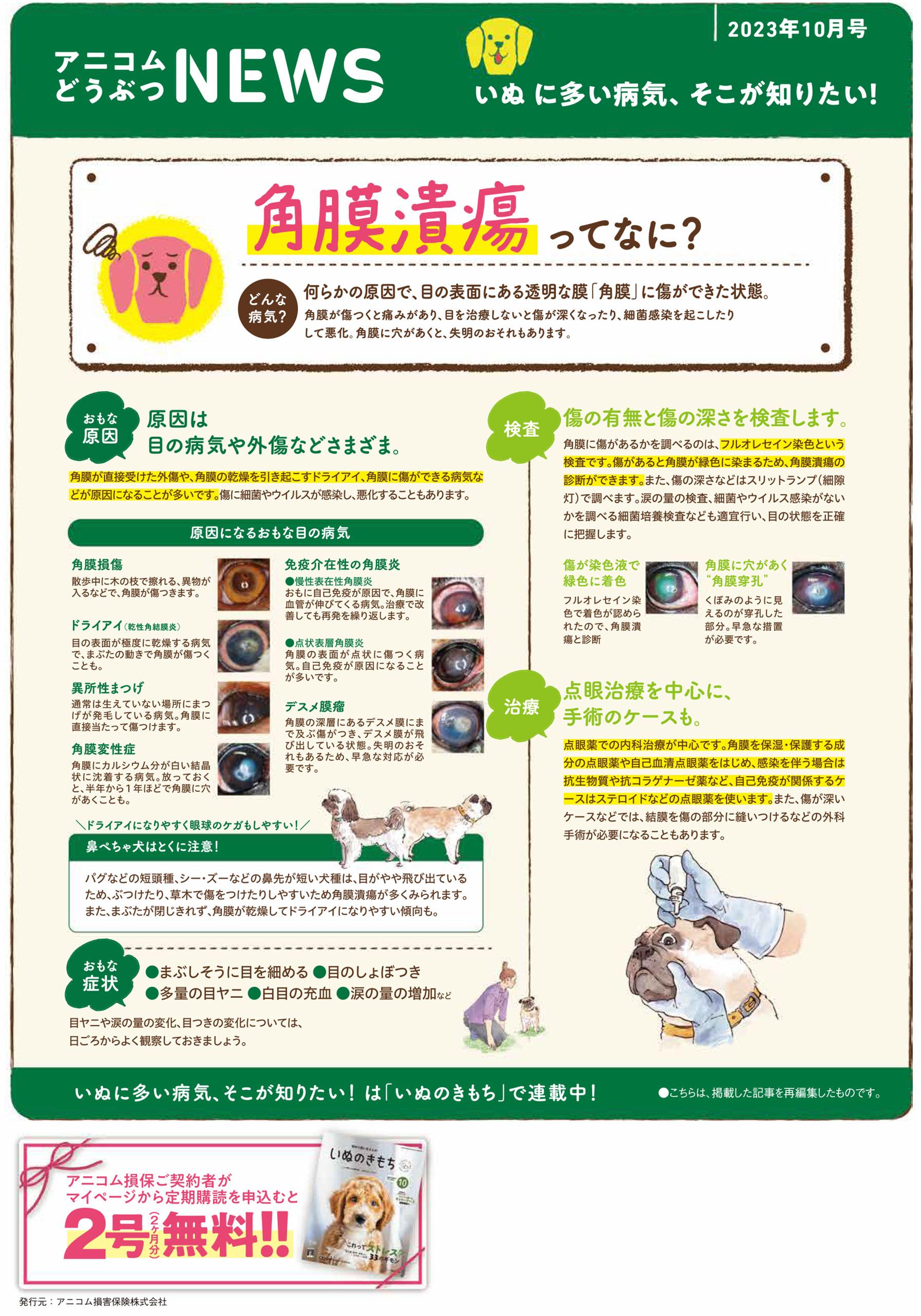 【いぬに多い病気】角膜潰瘍