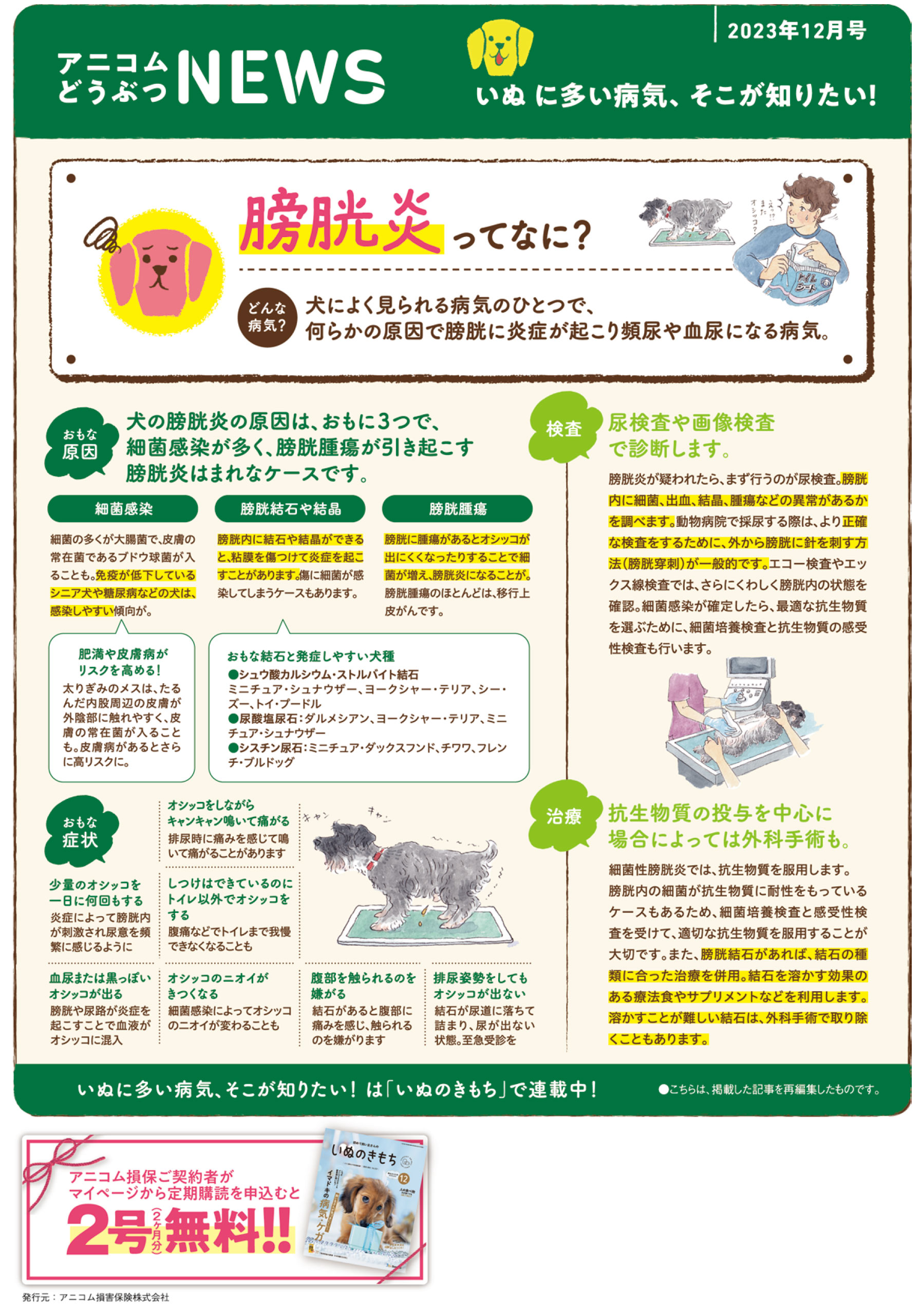 【いぬに多い病気】膀胱炎