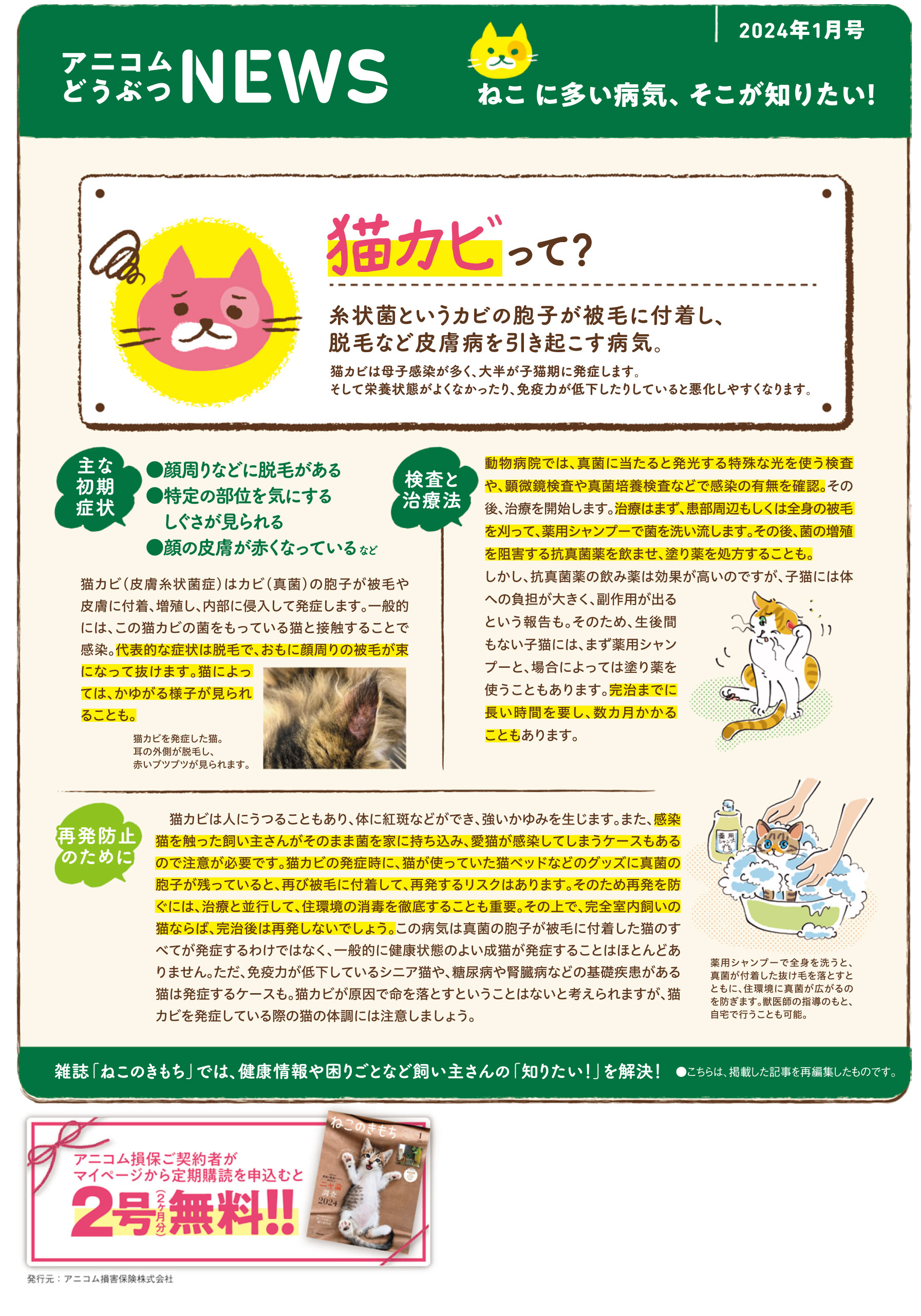 ねこに多い病気】猫カビ