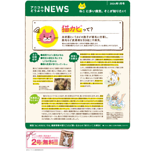 【ねこに多い病気】猫カビ