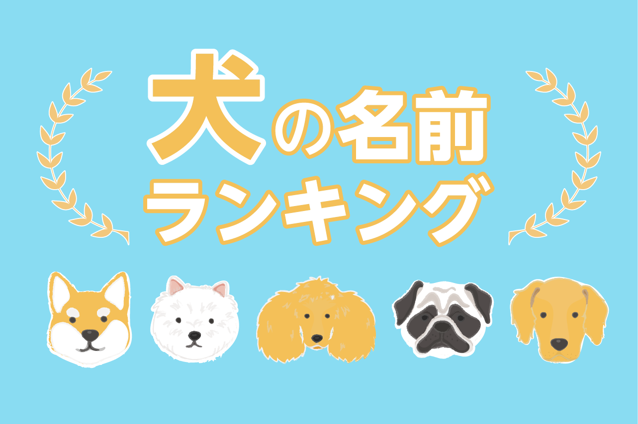 「犬の名前ランキング2023」総合は「ムギ」が3連覇！