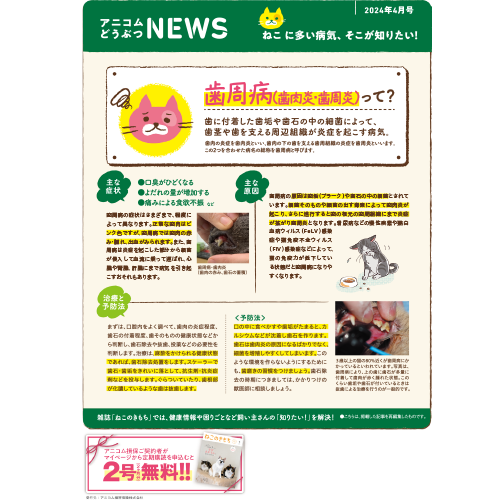 【ねこに多い病気】歯周病