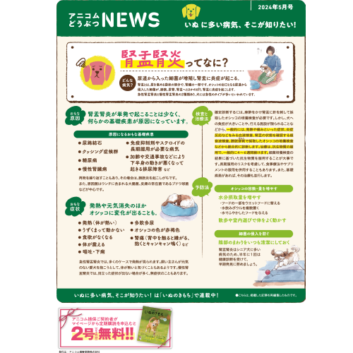 【いぬに多い病気】腎盂腎炎