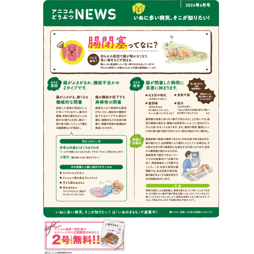 【いぬに多い病気】腸閉塞