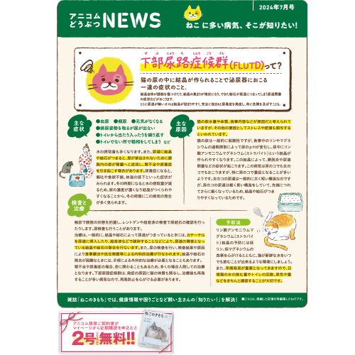 【ねこに多い病気】下部尿路症候群（FLUTD）