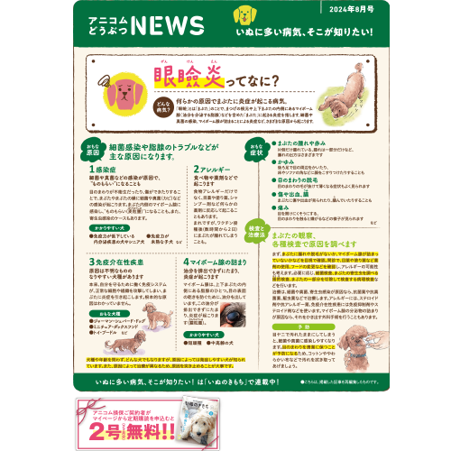 【いぬに多い病気】眼瞼炎