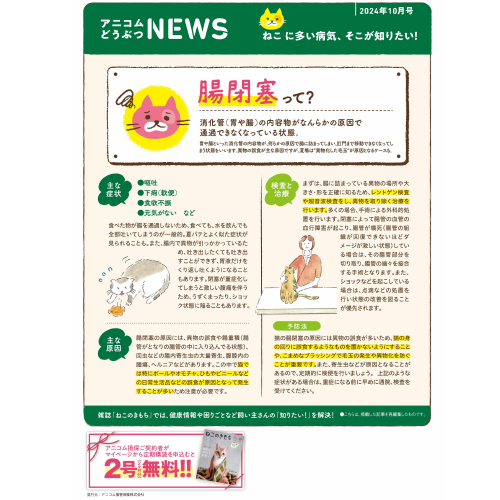 【ねこに多い病気】腸閉塞