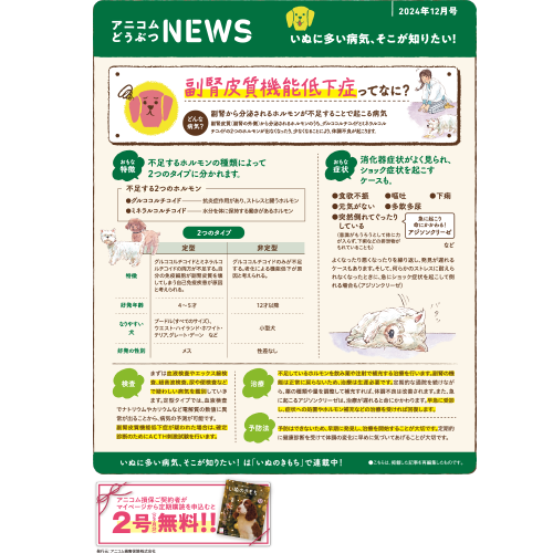 【いぬに多い病気】副腎皮質機能低下症