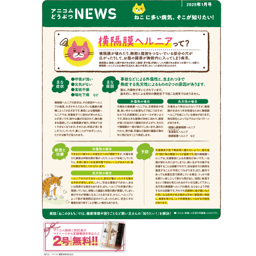 【ねこに多い病気】横隔膜ヘルニア