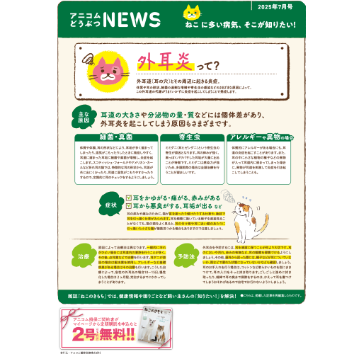 【ねこに多い病気】外耳炎