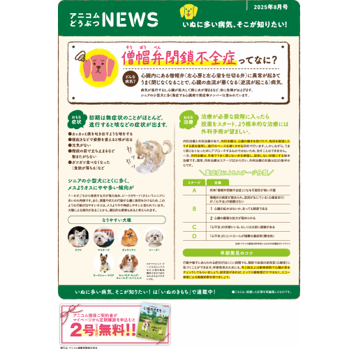 【いぬに多い病気】僧帽弁閉鎖不全症