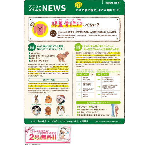 【いぬに多い病気】膝蓋骨脱臼