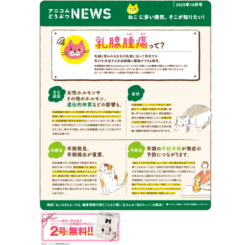 【ねこに多い病気】乳腺腫瘍