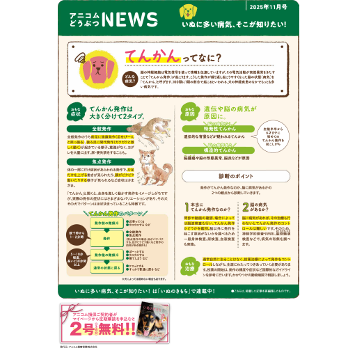 【いぬに多い病気】てんかん