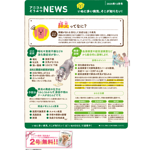 【いぬに多い病気】膵炎